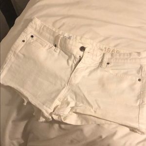 Gap 1969 Summer Cut offs